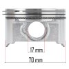 Piston complet pentru generator PM-AGR-3000-TK