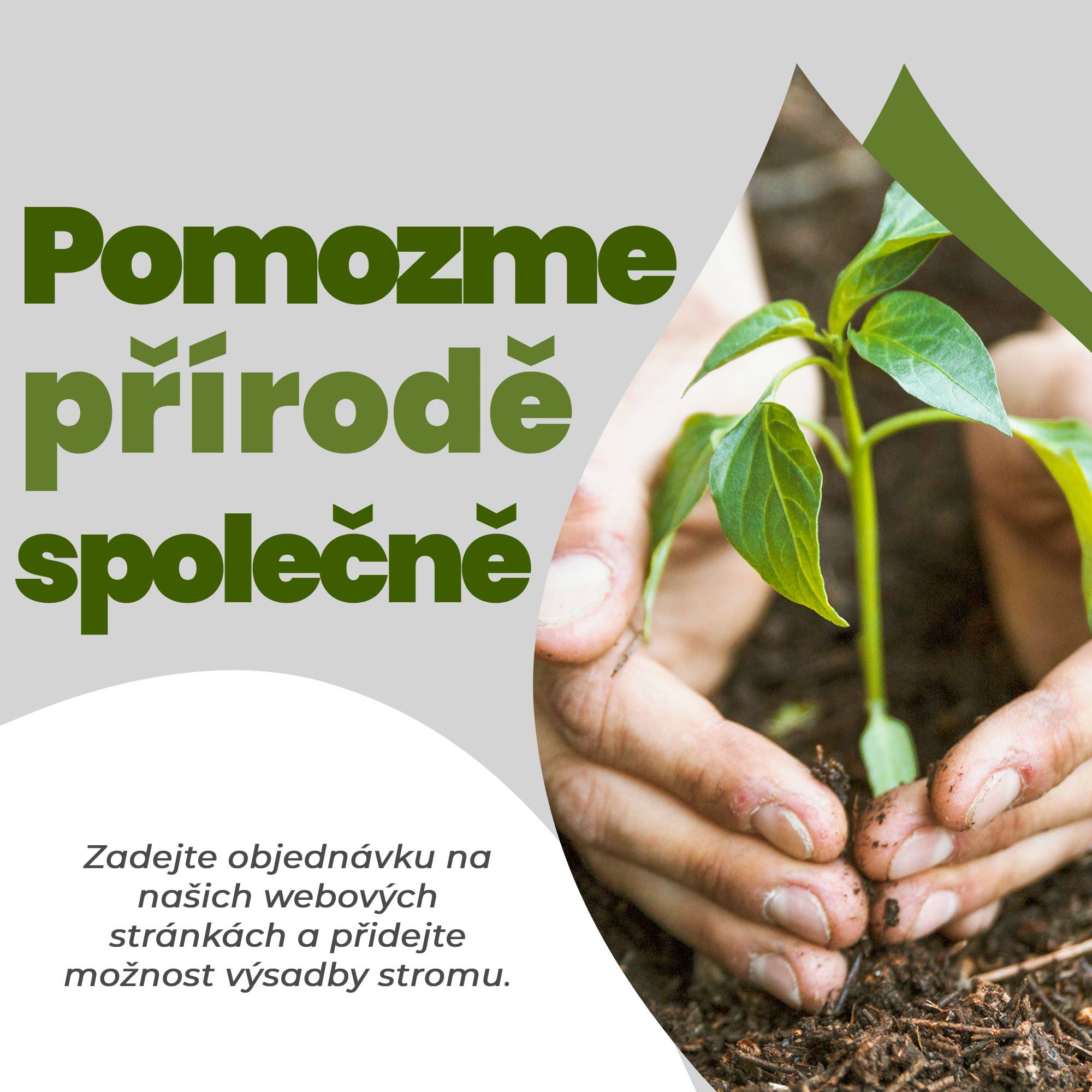 Ke každé objednávce jsme přidali možnost zasadit strom - FixTime.cz