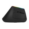 Bezdrátová vertikální myš Delux M618C 2,4G 1600DPI RGB (Černá)