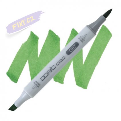 3735 2 g07 nile green copic ciao