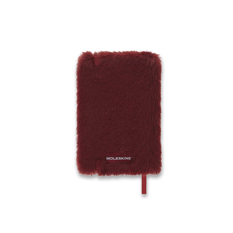 Skicář MOLESKINE FUR 22 čistý Maple Red XS