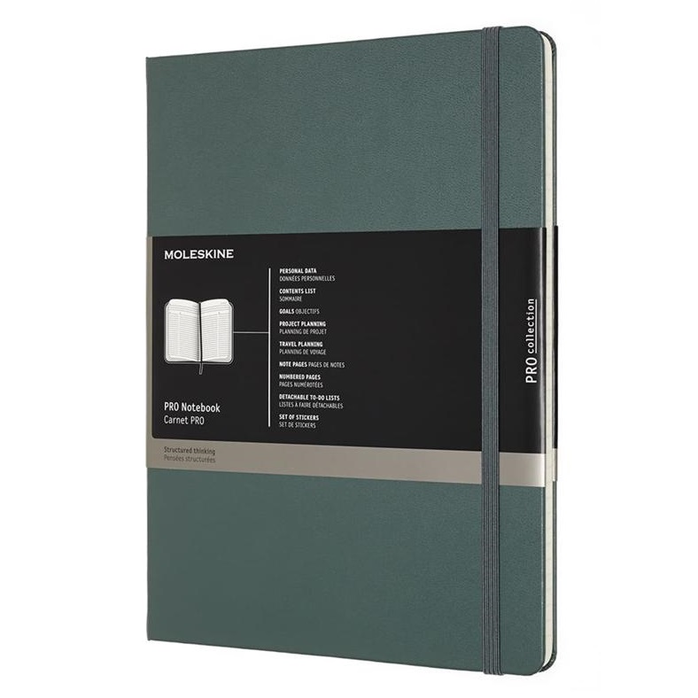 Zápisník MOLESKINE Professional tvrdý linkovaný tmavě zelený XL