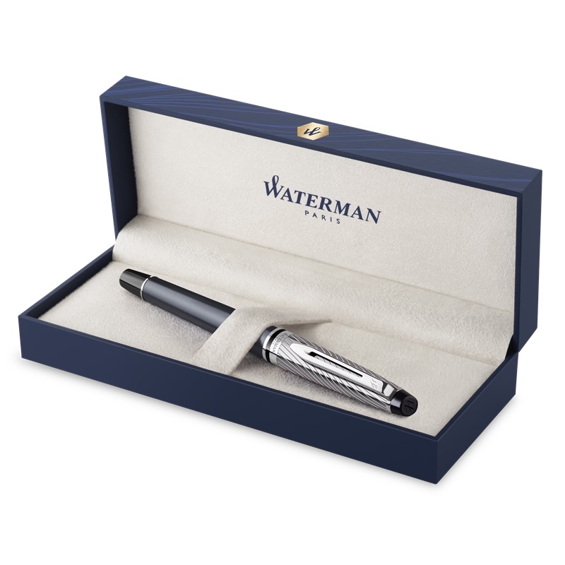 Plnicí pero WATERMAN Expert Deluxe Metallic Stone CT "F"