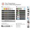 23511 6 chameleon pen 12ks color blending system mestske tony 8
