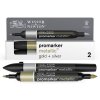 884955070758 W&N PROMARKER METALLIC GOLD AND SILVER 2PC 884955070758 [OPEN DHI] (For Presentations)