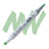 3969 2 yg41 pale cobalt green copic ciao