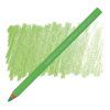 22498 FluorGreen 7270 l
