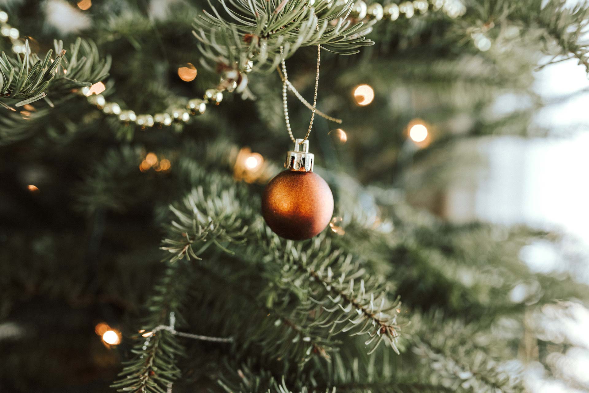 Víte, kdy je vhodná doba na koupi vánočního stromku?