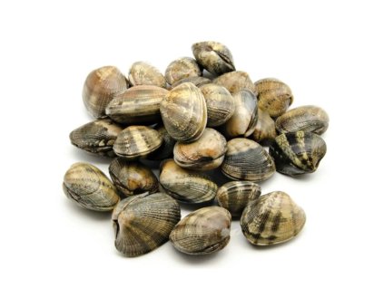 vongole