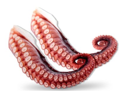 Chobotnice chapadla