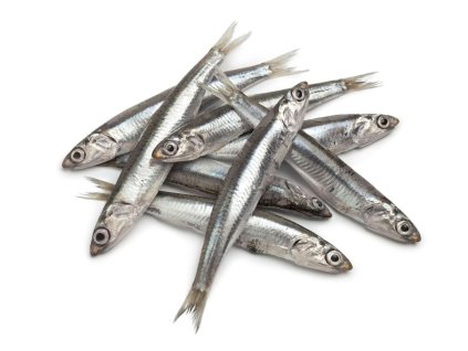 Anchovies