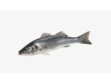 Vlk divoký kuchaný