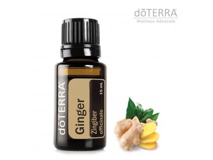 Esenciálny olej doTERRA, Ginger, 15 ml