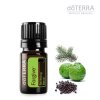 Esenciálna zmes doTERRA, Forgive, 5 ml