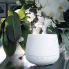 Stadler Form Aroma difuzér sonický Julia titan 200 ml