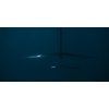 Gallerie SS2026 SK8 4