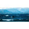 Gallerie SS2026 SEVEN SEAS 4