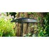 Gallerie SS2026 EAGLE V2 3