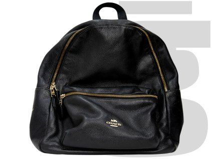 Coach Leather Backpack (Black)