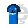 PREMIUM BLUE min copy