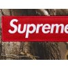fall winter2025 box logo hooded sweatshirt realtree r ap camo 1 ad 1.jpg min