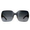 Dior LadyLady3 Sunglasses (Black)