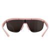 Bottega Venetta BV1115S 003 (Pink/Black)