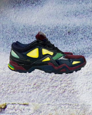 2013 Raf Simons x adidas Terrex Size: 43.5 Condition: 7/10 (No Box) Price: 175€ (Under Retail!) •Buy online at...