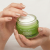 être belle Aloe Vera Moisturizing Mask, 50 ml