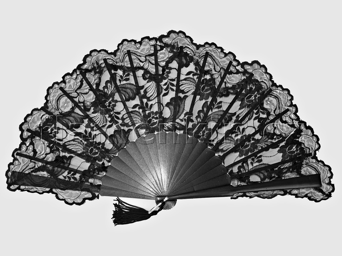 Hand Fans with Lace