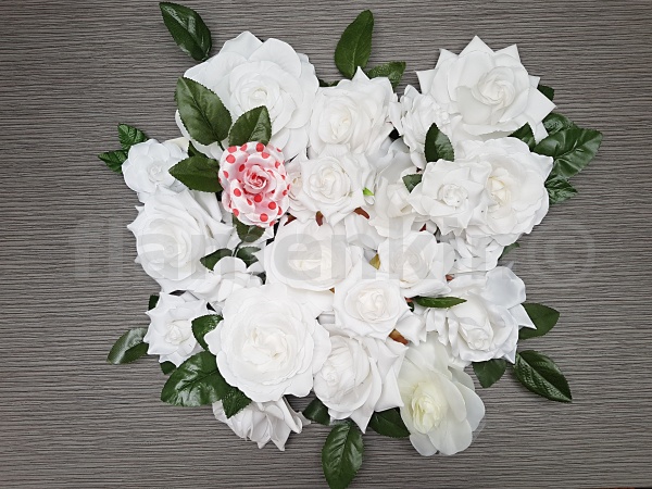 White Flamenco Flowers