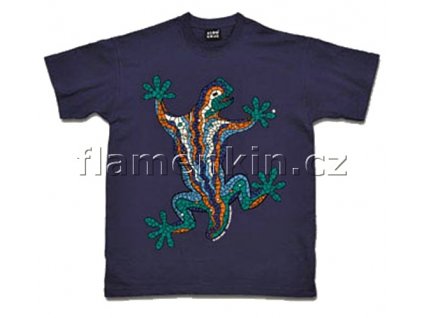 dragonlagarto 500 500