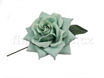 Rosa zelenkava 15 cm 1200 900