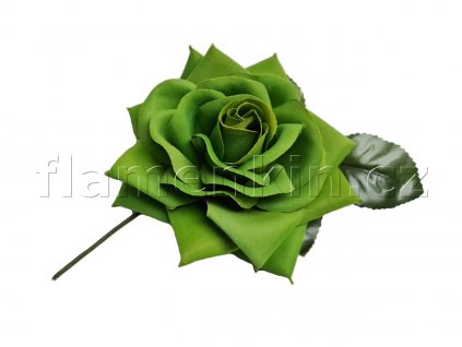 Velká pistáciová růže MP 13 cm