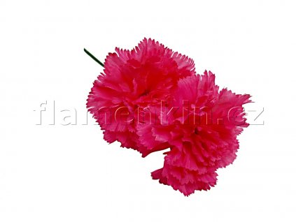 clavel fuxia 1200 900