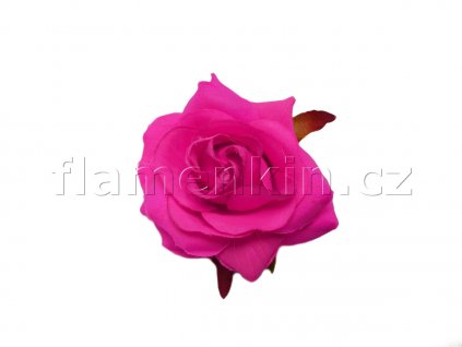 FAN fuxia neon 1200 900