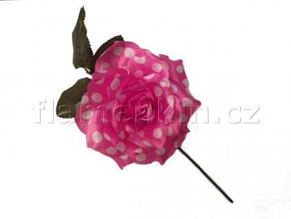 Rosa velka puntiky 1200 900