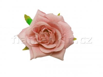 FAN mala skripec losos 1200 900