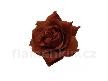 Fan rosa mala hneda skripec 1200 900