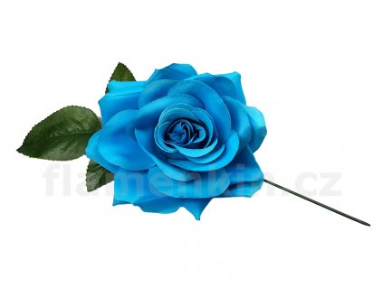 FAN rosa tyrkysová 13 cm 2 1200 900