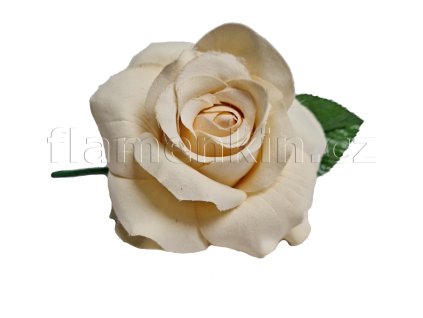 Velká růže ANF 48630 krémová