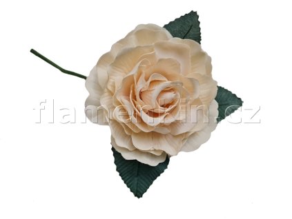 Střední krémová růže 11 cm ANF54712