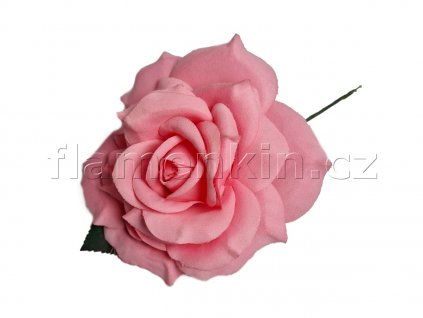 Rosa velka 15 cm maly list 1200 900 2