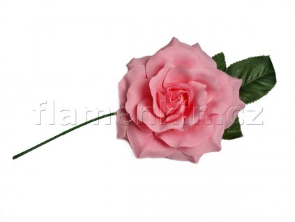Rosa velka 15 cm 1200 900