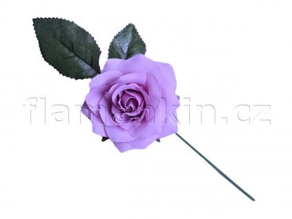 Střední lila růže MP 10 cm 2