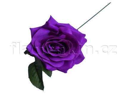 Velká fialová růže MP 14 cm