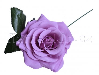 Velka lila růže MP 14 cm