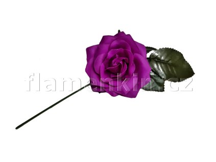 Střední rosa fuxia MP 10cm