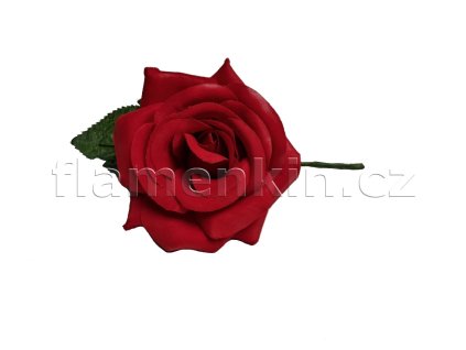 Růže střední 11 cm ANF 48629 červená 2