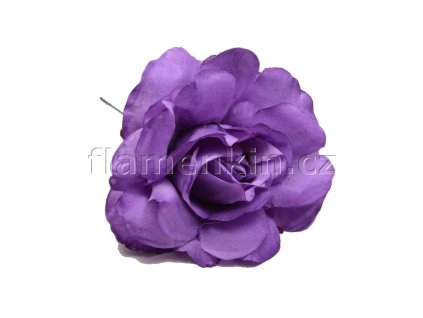 Střední fialová růže FE CAD 11 cm